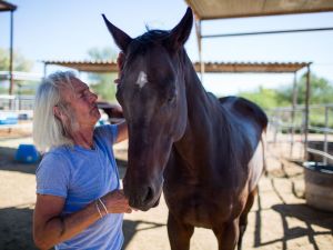 Jim Gath, the owner and chief operator at Tierra Madre Horse Sanctuary, interacts with his horses daily and makes sure they always have enough attention and human interaction. (Photo: Dominic Valente/The Republic, Dominic Valente/The Republic)