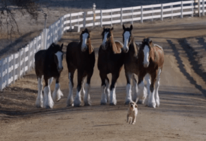 screen-shot-2014-11-24-at-4-25-36-pm