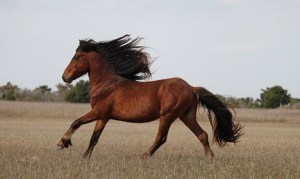 3af292552718c6756c2edcd46664934b01824a783f9791283c0f5a5fcb9b8cd1