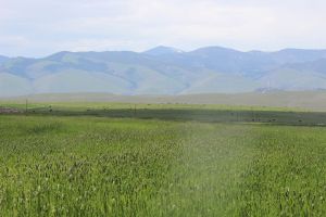 ProposedEcosanctuary2