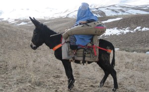 Testing in Balkh province, Afghanistan. / Courtesy HealthProm.