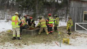 Goshen+Horse+Rescue+2