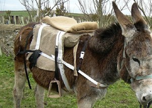 he first version of the saddle was made of hessian with straw stuffing. / Courtesy SaddleAid.