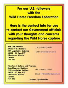 10984041_513903965416758_766802670647932788_n