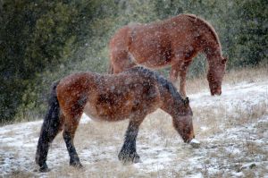 1297671144769_ORIGINAL