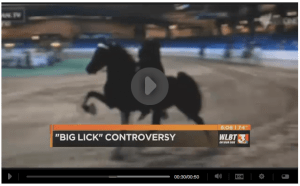 Click Image to View Video