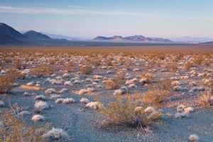 soda-mountain-solar-3-6-15-thumb-630x420-89097