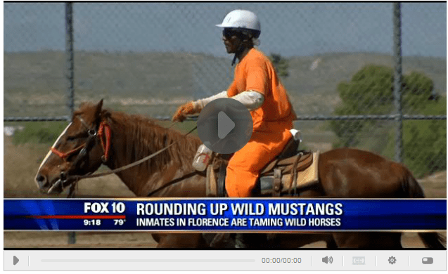 Click Image to View Video