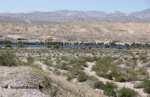 photo by Simone Netherlands