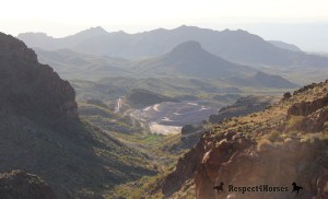 photo by Simone Netherlands