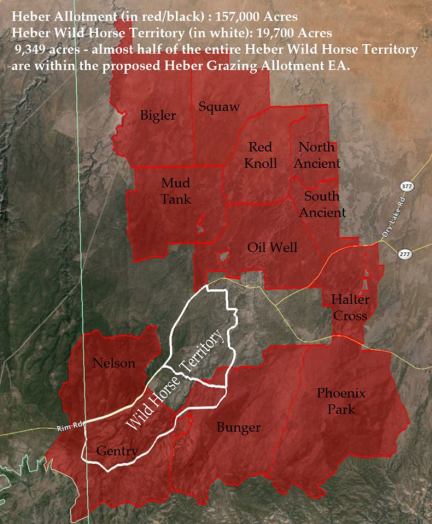 11406996_847518525314355_3789242112633651986_n