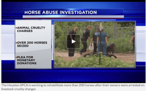 Click image to view video