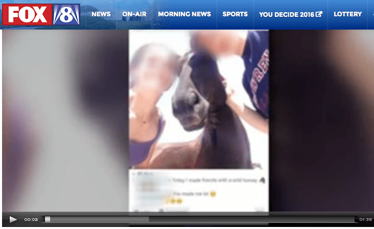 Click Image to View Video