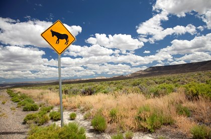 burro-crossing-sign