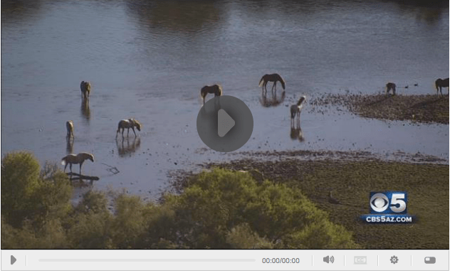 Click Image to View News Video