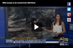 Click Image to View Video