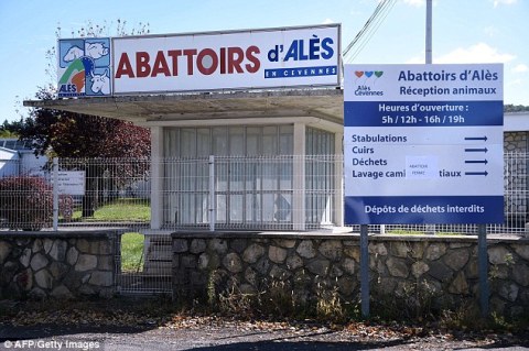 2D70472600000578-0-image-a-11_1444982503024