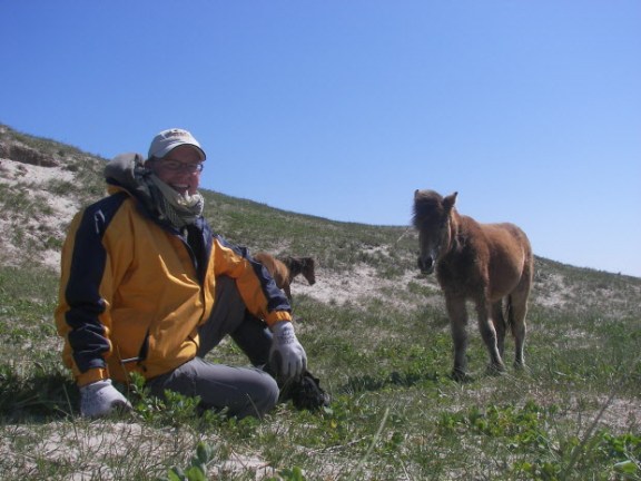 University of Saskatchewan professor Philip McLoughlin observes wild horses on Sable Island. Submitted photo.
