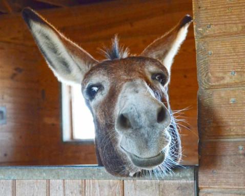 4ebb4589-fac8-4014-ab3a-721baab5cc66