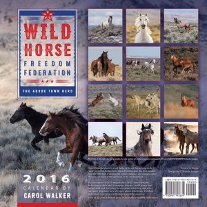 Click on image for more information