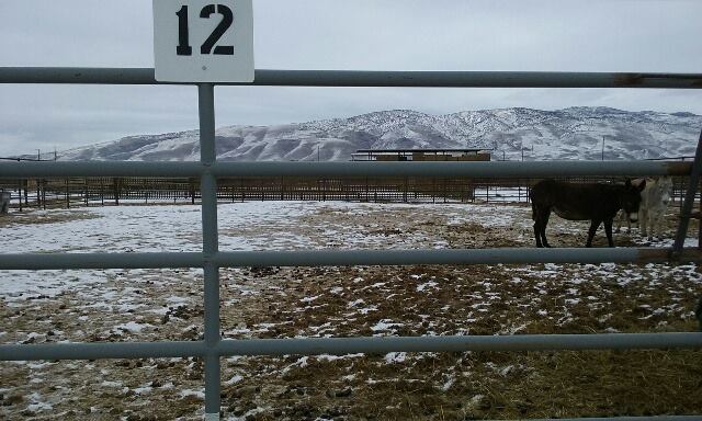 10009317_10156889990525131_5970476559001980151_n