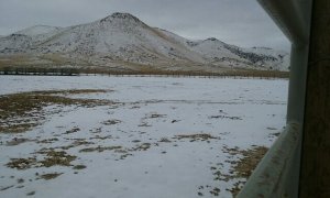 1914612_10156889990120131_576338665036546384_n