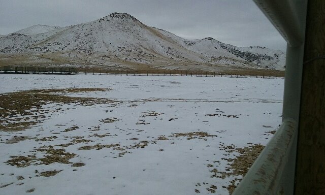 1914612_10156889990120131_576338665036546384_n