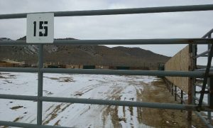 1936138_10156889991510131_2082075497787093784_n