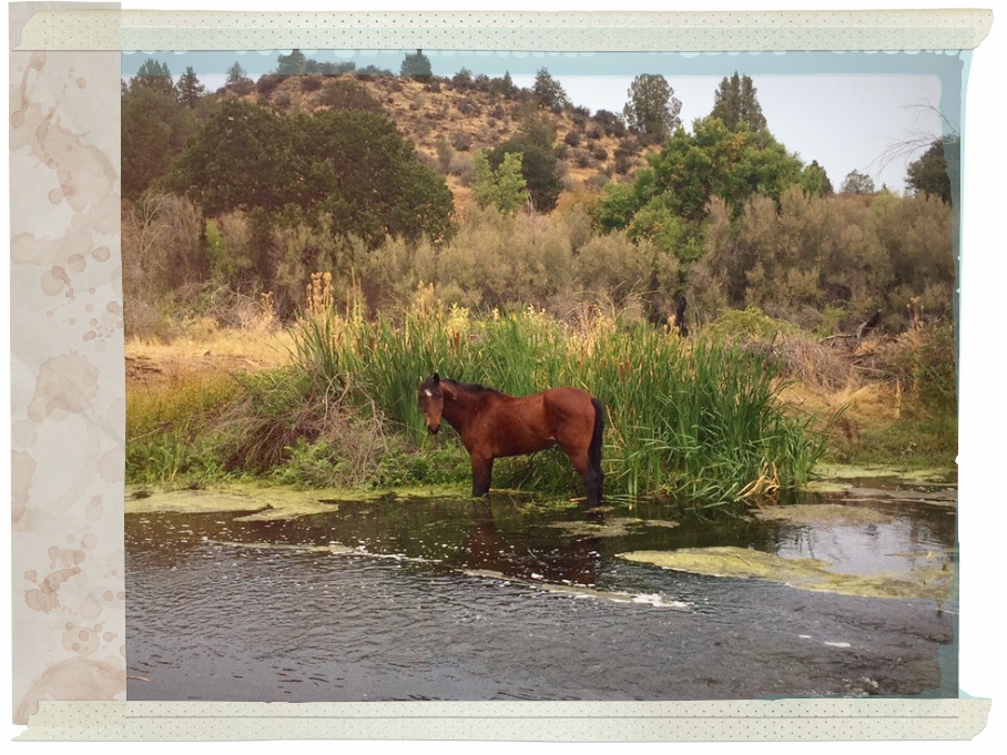 photo by Catherine Scott