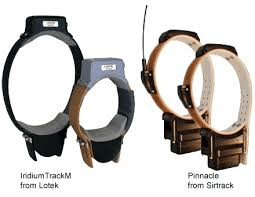 GPS-Satelite-collars