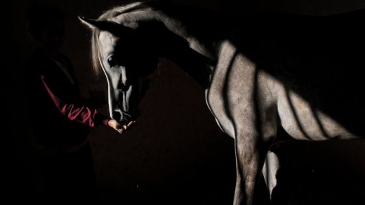 WireAP_60b455054ec445539fa31d5c8850c8cb_16x9_1600