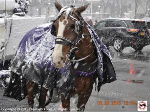 10151218_1076683402371526_3650848955117168478_n