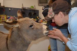 12508814_997190150324919_8258117459653479904_n