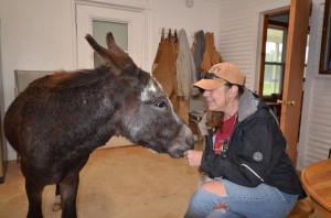 12540821_997192583658009_6743059243341512464_n