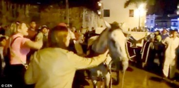 301E967E00000578-0-image-a-19_1452696857548