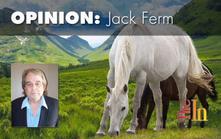 horse-1073178_1280-copy