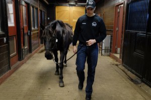 1st Lt. Daniel Nicolosi escorts Kennedy -- one of two horses available for adoption -- in the Caisson barn at Ft Myer in Arlington, VA, on Feb.17, 2016. MUST CREDIT: Washington Post photo by Bonnie Jo Mount