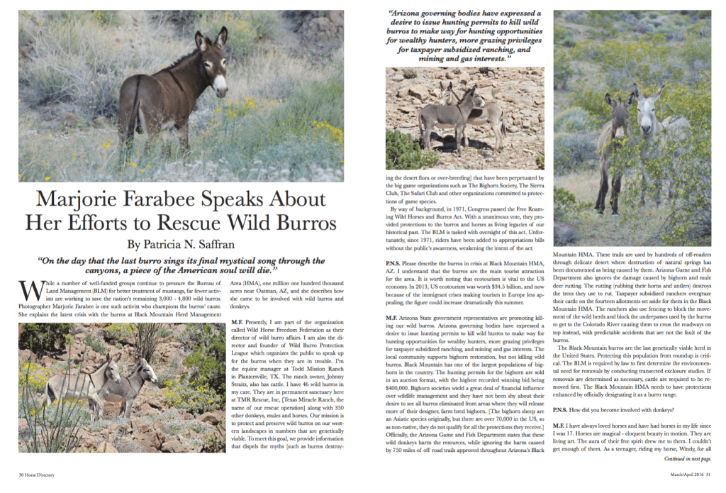 Click on Image to Read/Download complete article