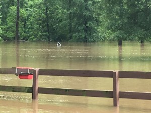 View from backyard as pastures wash away, object in water is end of gate attached to the cross fencing that has long since disapeared.
