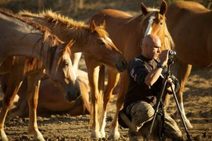 Richard Couto, founder of the Animal Recovery Mission, helped convict a Florida man to a 1-year jail term for animal cruelty this week. Couto spent six months gathering evidence to help bring the conviction.