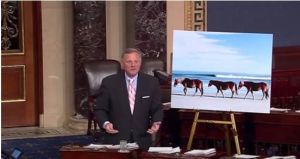 Both Burr and Tillis spoke in support of the amendment on the Senate floor.