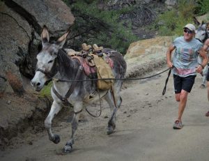Hal running with Full Tilt Boogie. (Photo by Kelly Jole Doke)