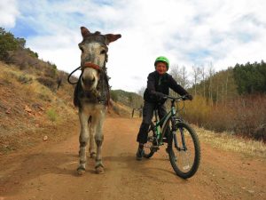 Teddy and Harrison cross-terraining. (Photo by Hal Walter)