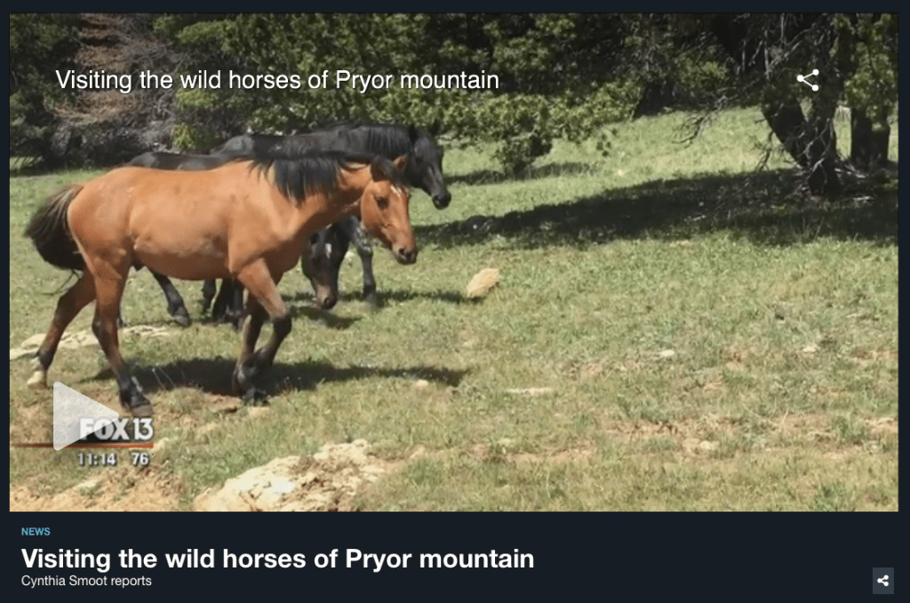 Click Image to View Video