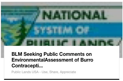 Public Comments