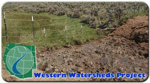 photo by Jonathan Ratner