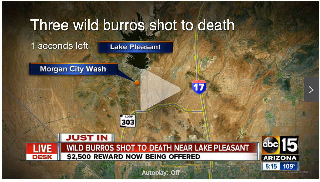 Click Image to View Video