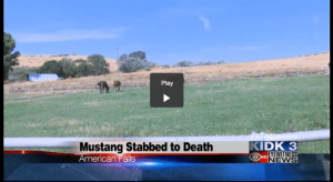 Click Image to View Video