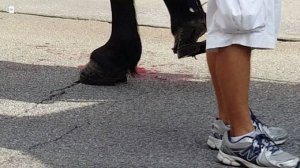 EP-160829384.jpg&MaxW=520&q=85