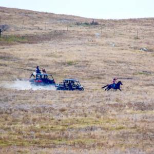 Crow Creek Spirit riders being chased down by DAPL security last Thursday 10/27/16. Here you can see the courage and strength both riders and horses have! They escaped and made it home safely! Original photo by Standing Rock Rising "I just added edit to the photo to brighten it up"